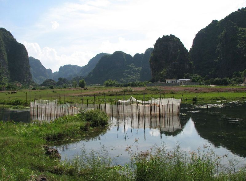 Vietnam